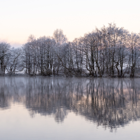 zimowe-eventy-hotel-magellan-w-sercu-lasu